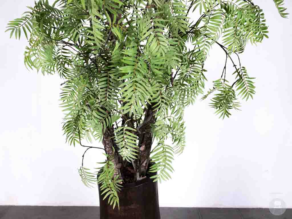 Kunstboom Jady 250cm hoog - Afbeelding 4