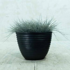 Plantenbak Gras