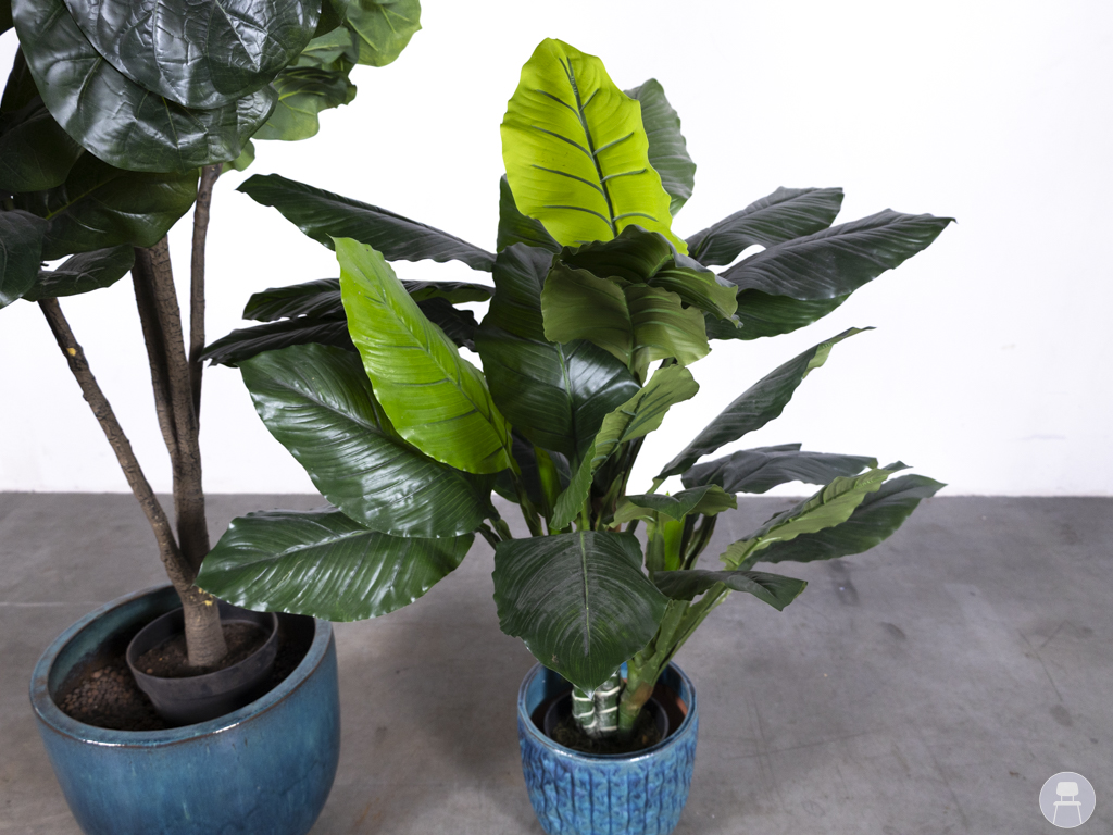 1 set 2 stuks Kunstplant Jungle - Afbeelding 7
